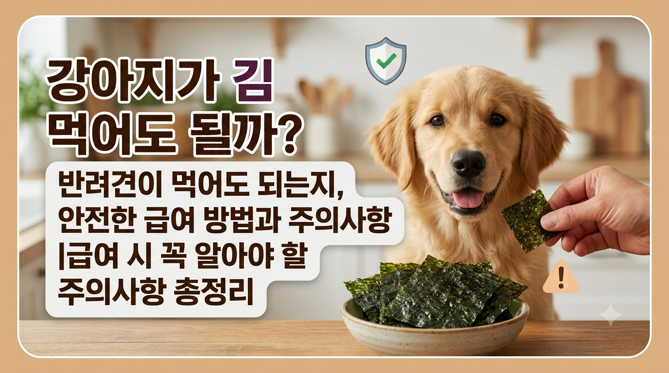 강아지 김 썸네일