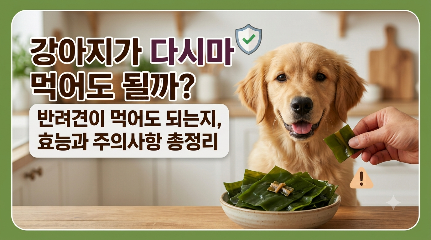 강아지 다시마 썸네일
