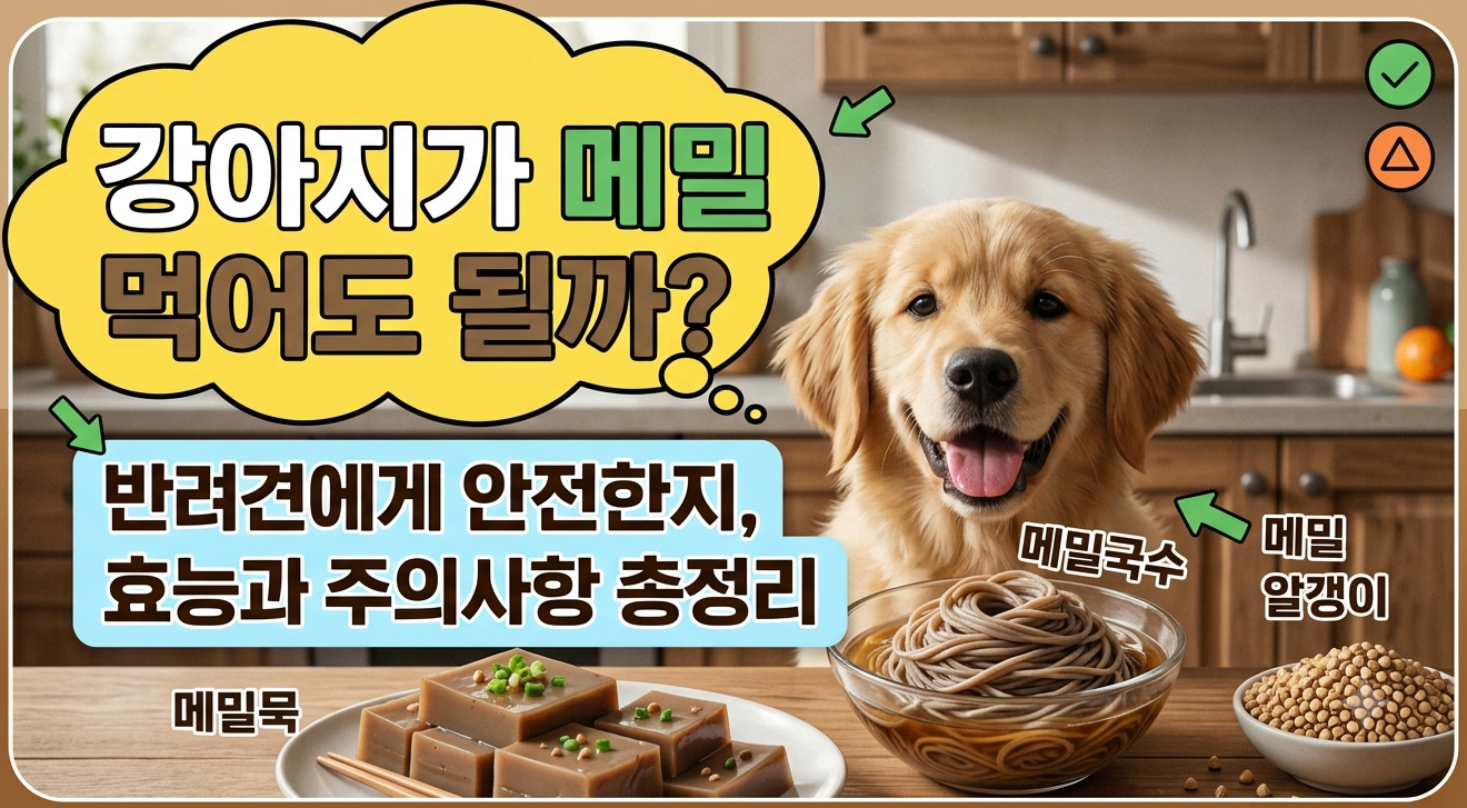 강아지 메밀 썸네일