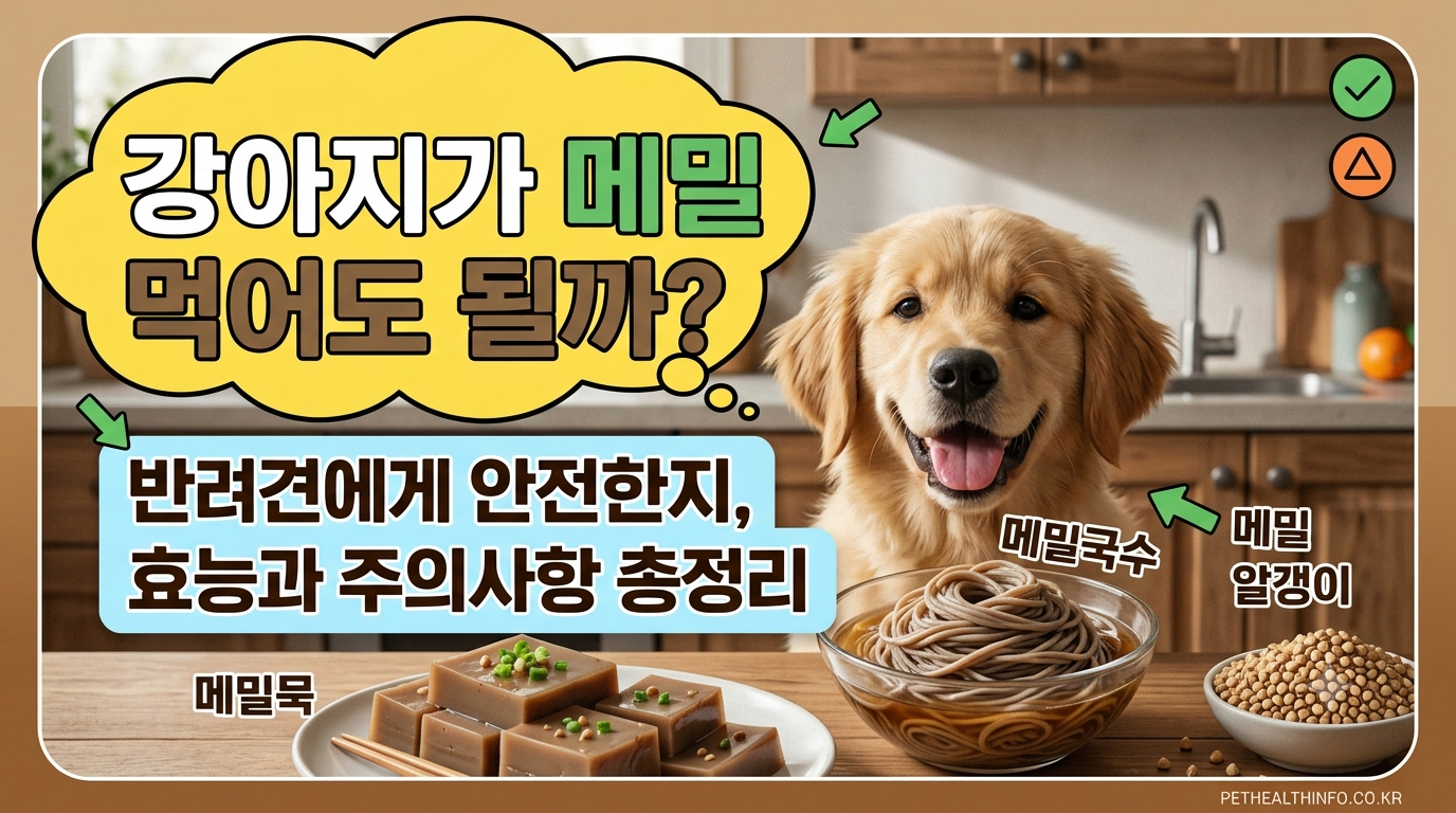 강아지 메밀 썸네일