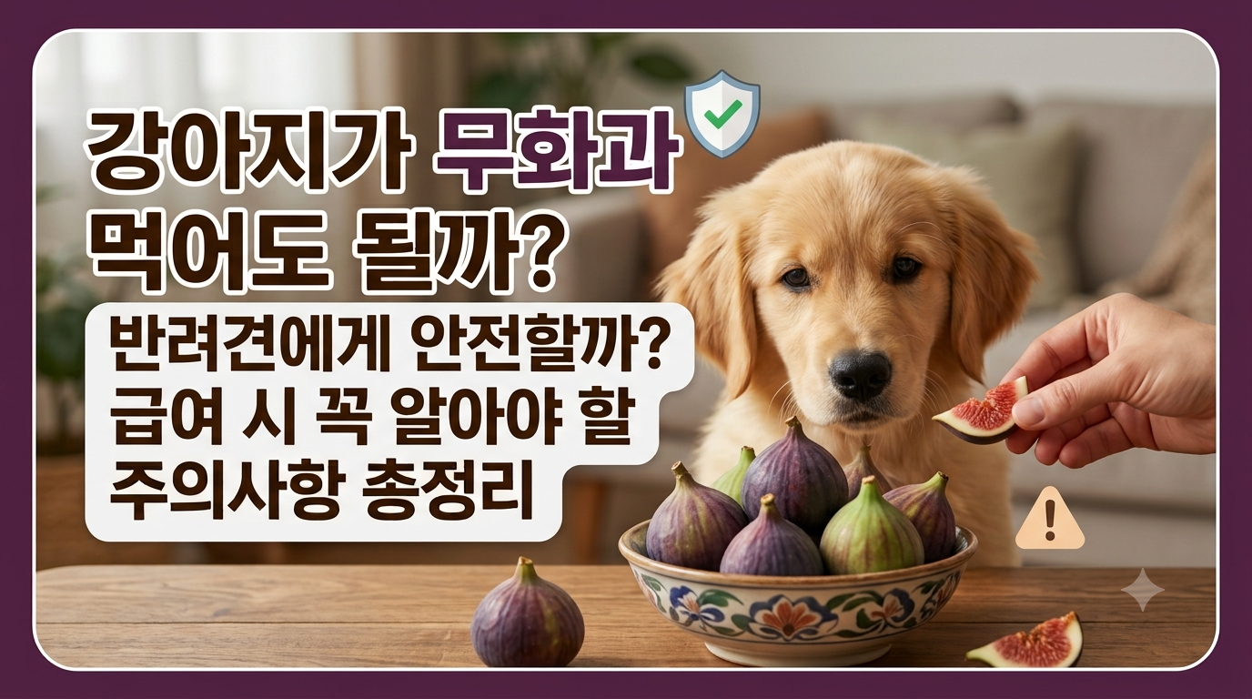강아지 무화과 썸네일