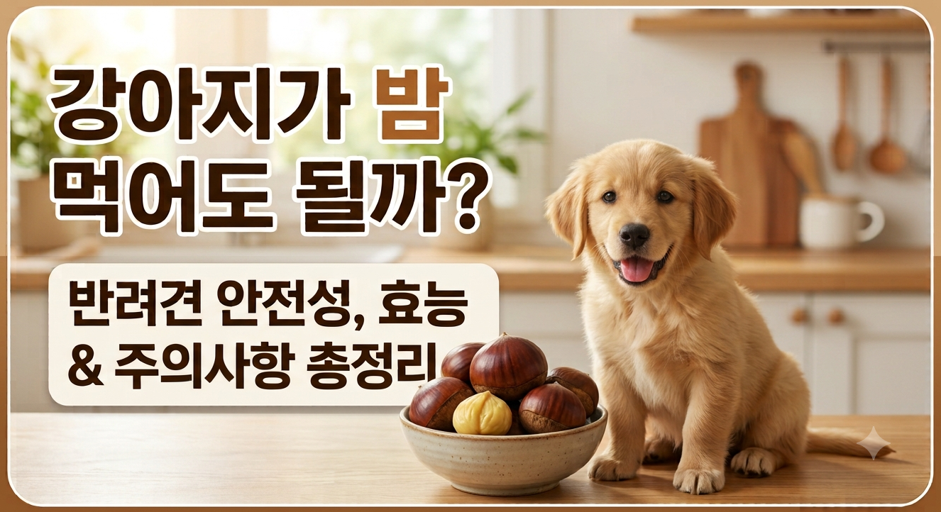 강아지 밤 썸네일