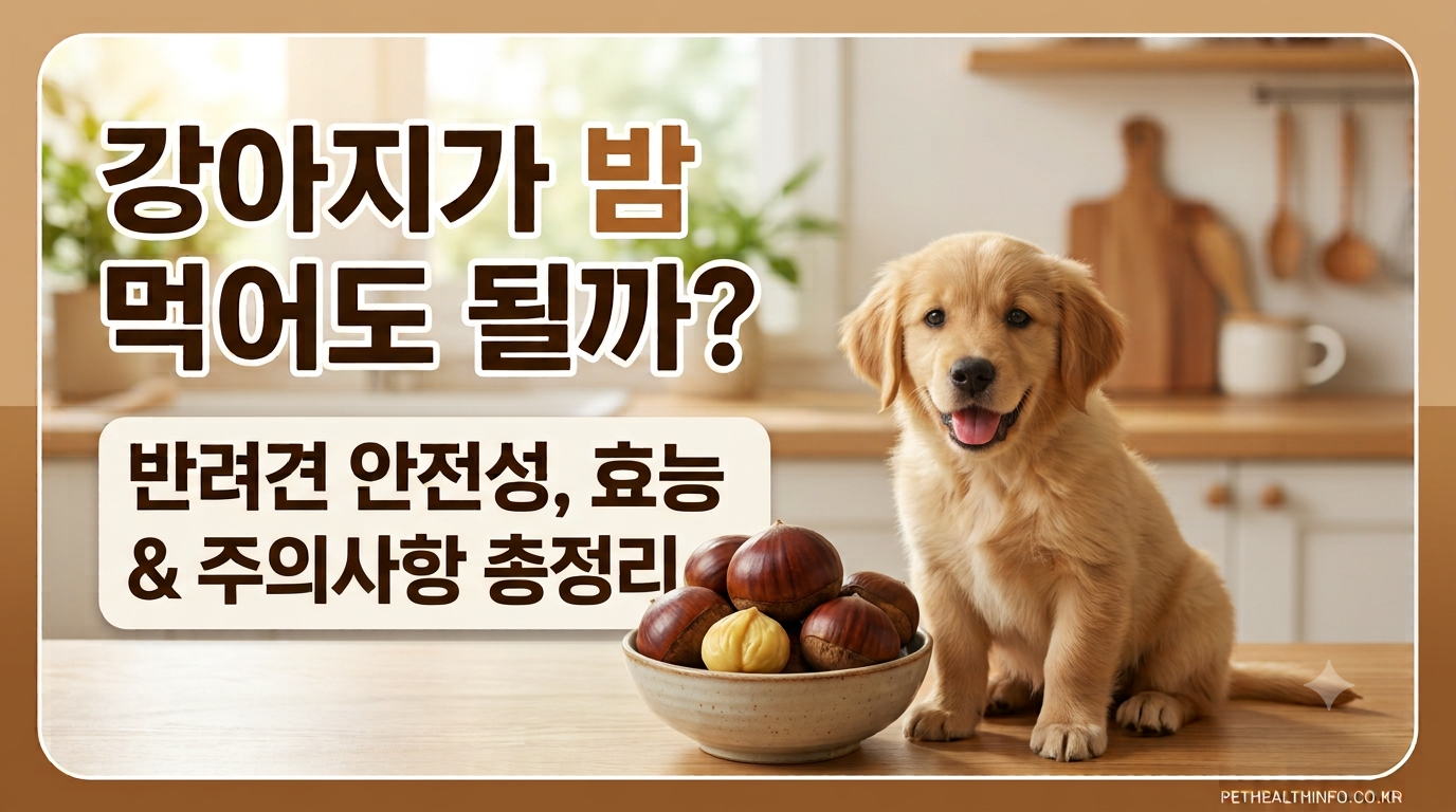 강아지 밤 썸네일