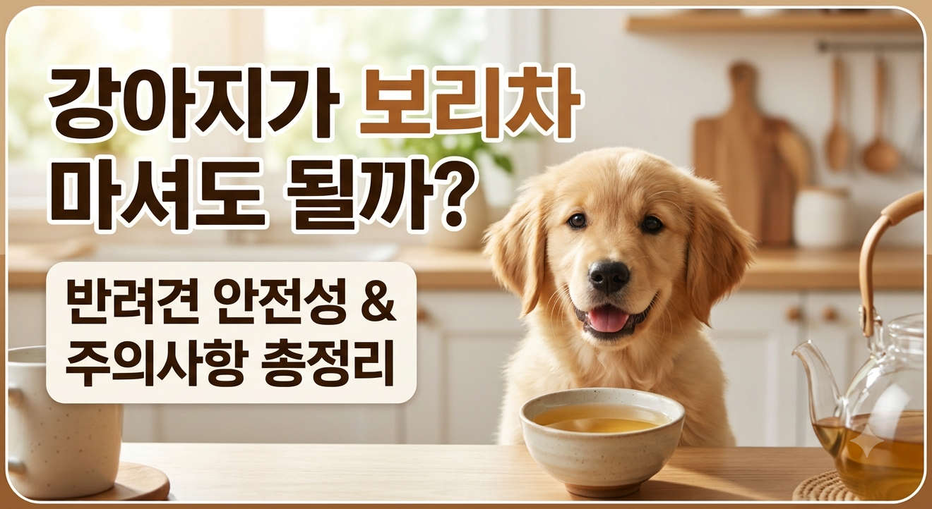 강아지 보리차 썸네일
