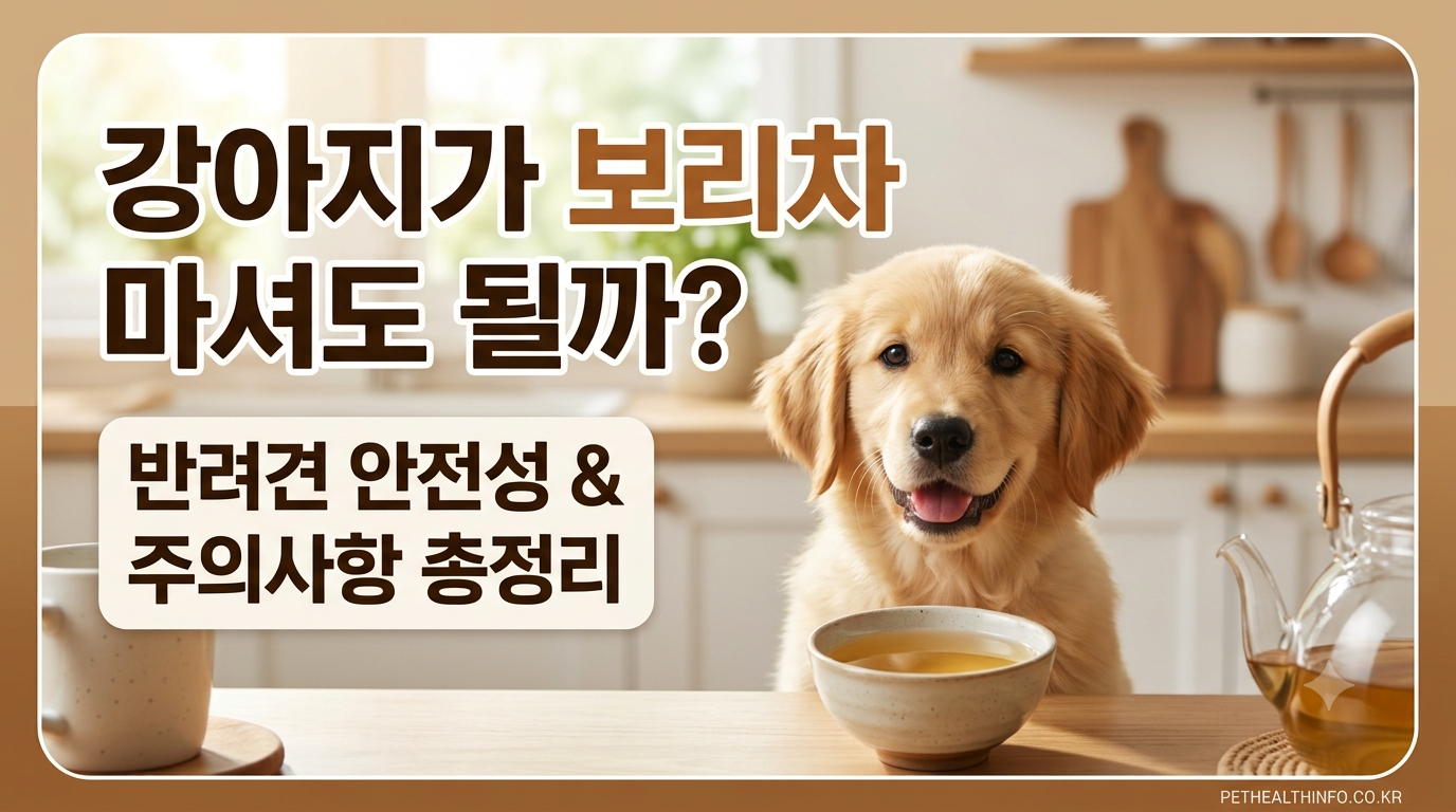 강아지 보리차 썸네일