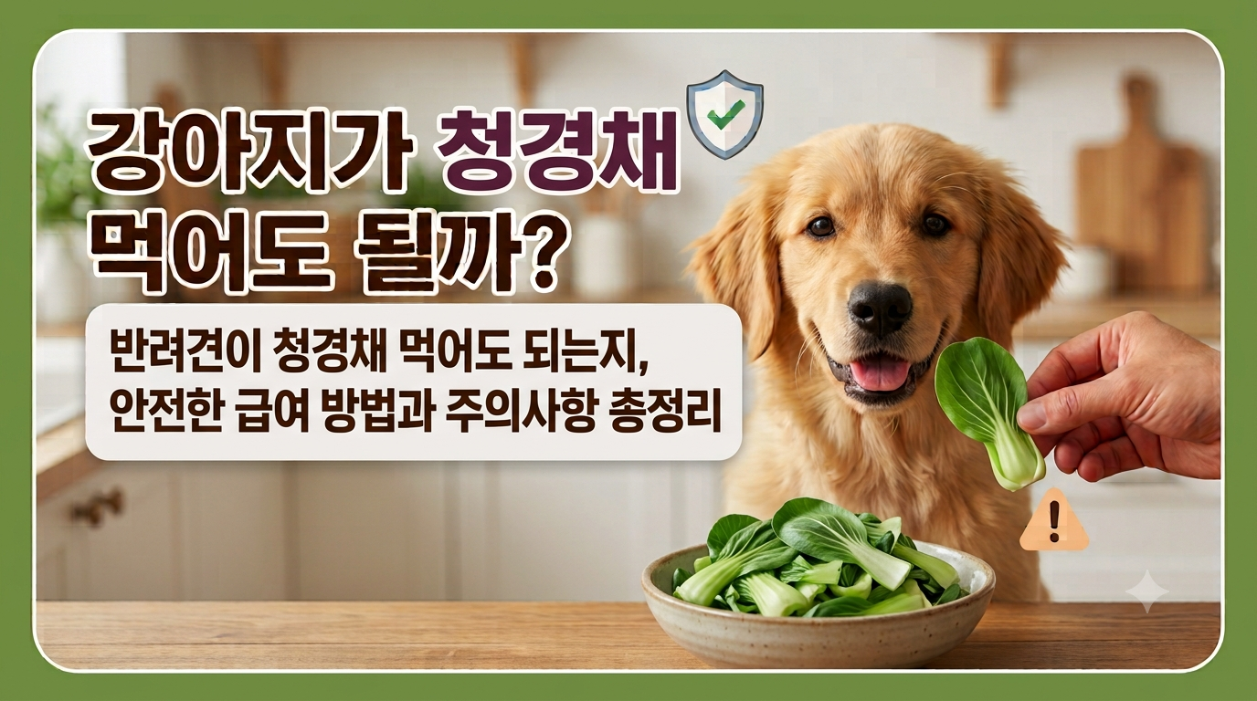 강아지 청경채 썸네일