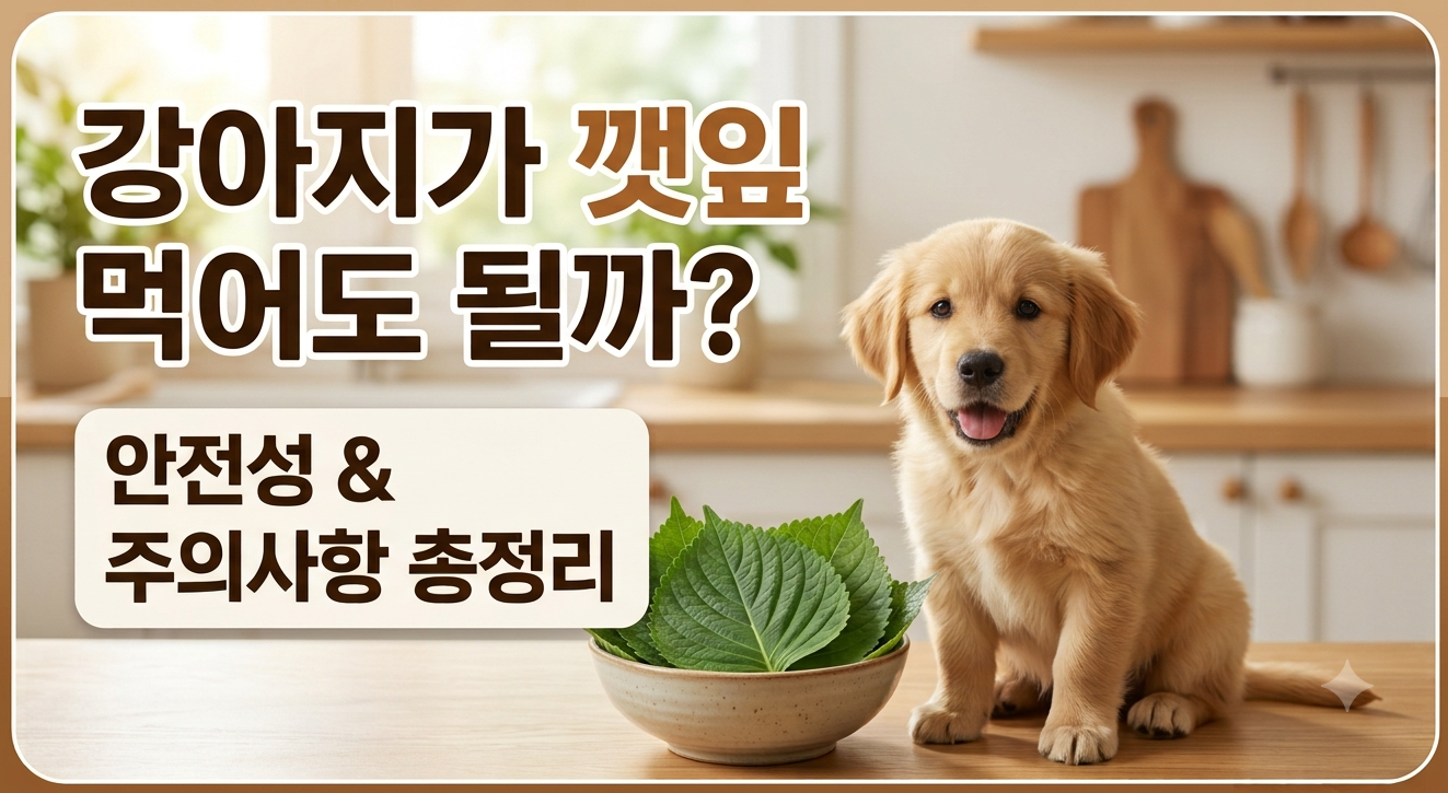 강아지깻잎 수정본