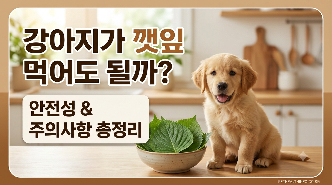 강아지깻잎 수정본